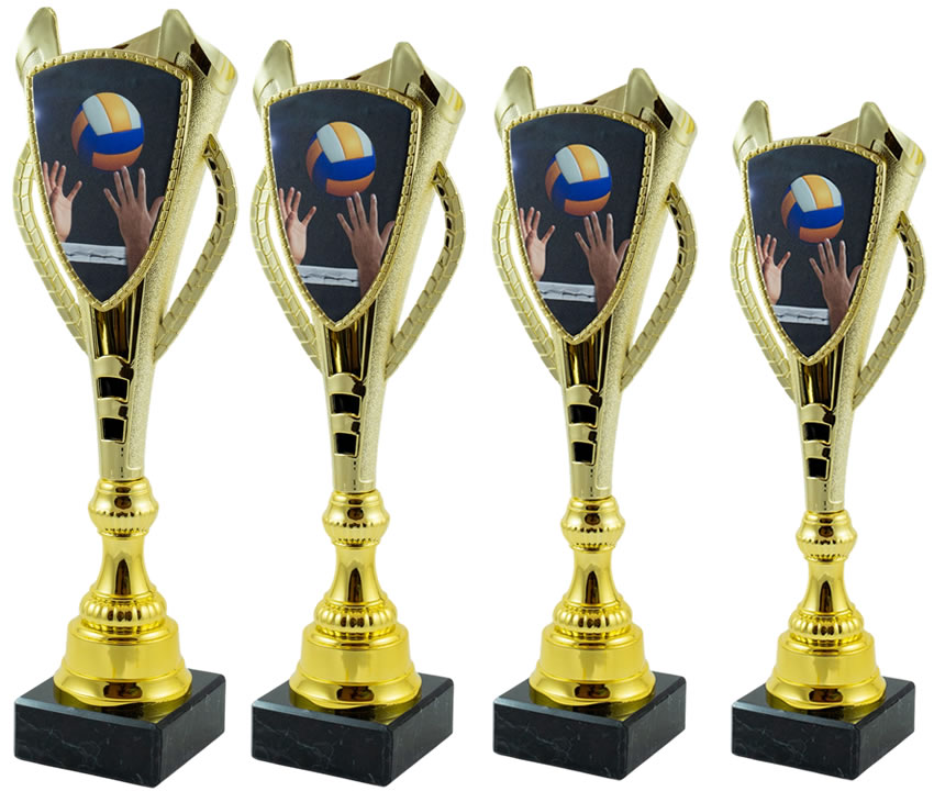 Odbojkaški pehari SP132